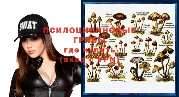метамфетамин Алексеевка
