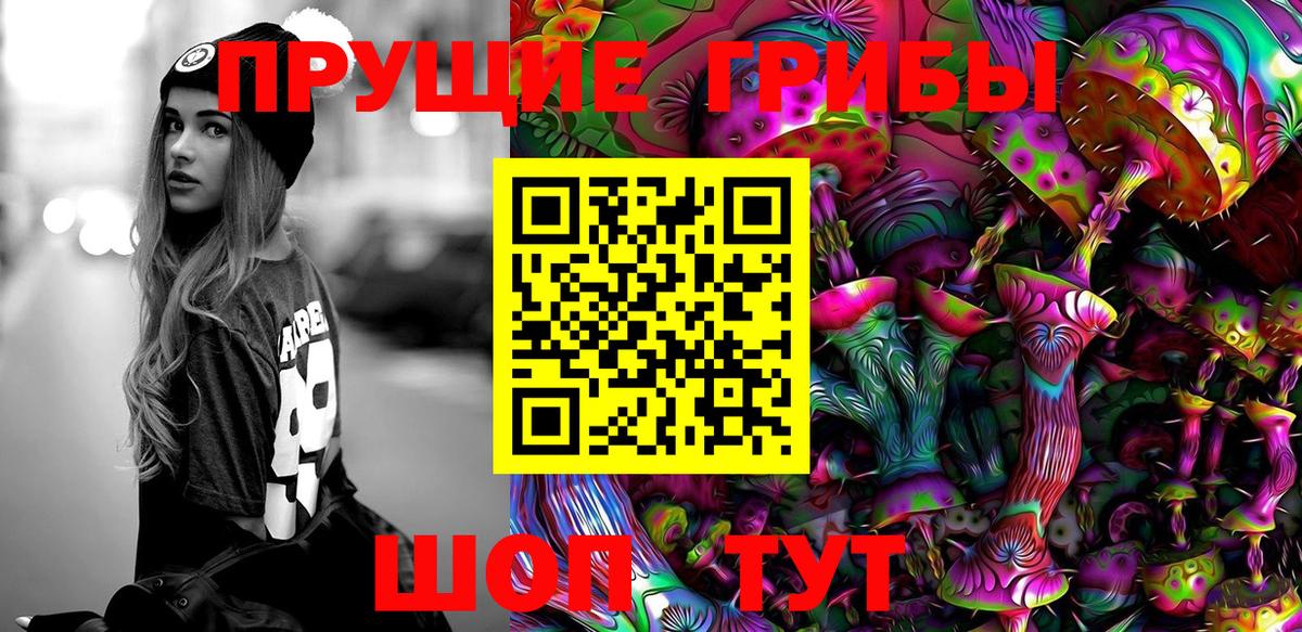 Солнечногорск  Псилоцибиновые грибы мицелий  Вход с VPN  Псилоцибиновые грибы мухоморы 